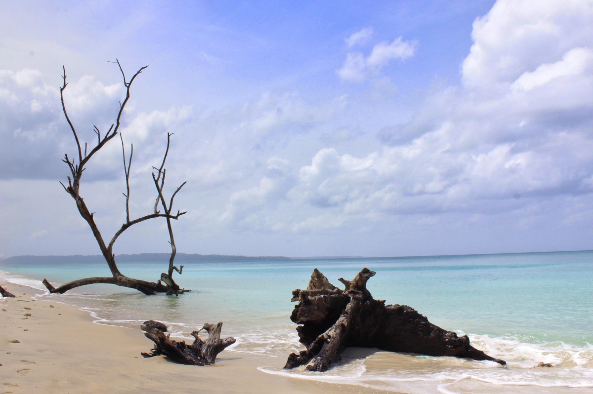 Day 02: Havelock Island - Beach Exploration (~5-15 km)